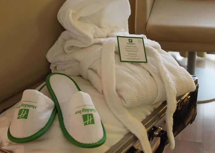 Holiday Inn Turin Corso Francia By Ihg